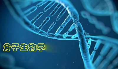 分子生物學(xué)檢測