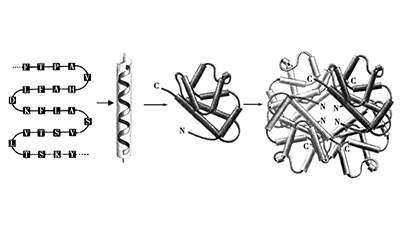 生物大分子檢測