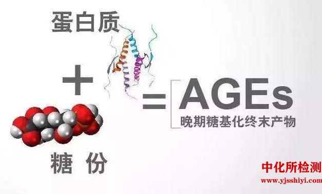 糖基化終產(chǎn)物檢測
