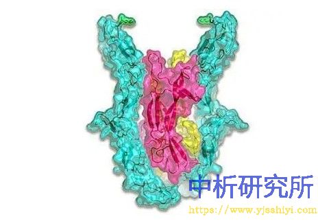 神經(jīng)營養(yǎng)物檢測