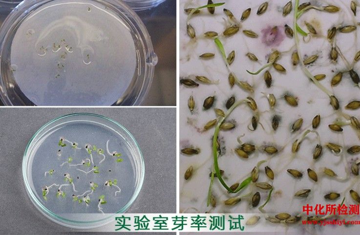 草籽檢測