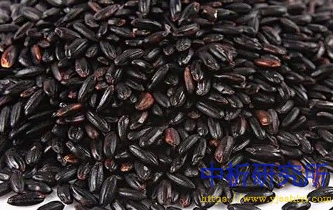 黑米檢測