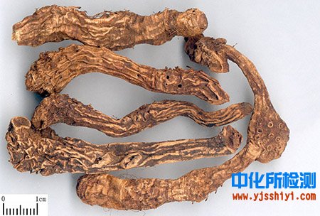 射干成分檢測