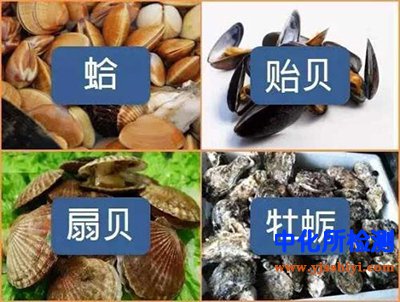 大田軟海綿酸檢測