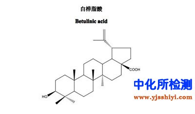白樺脂酸檢測(cè)