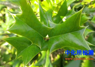 蠟質(zhì)檢測(cè)