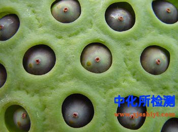 黃心樹(shù)寧堿檢測(cè)